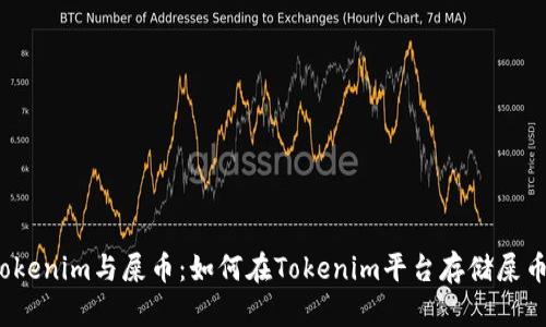 Tokenim与屎币：如何在Tokenim平台存储屎币？