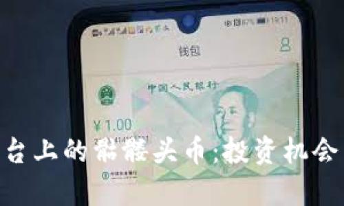 Tokenim平台上的骷髅头币：投资机会与风险解析