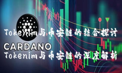 Tokenim与币安链的结合探讨
Tokenim与币安链的深度解析