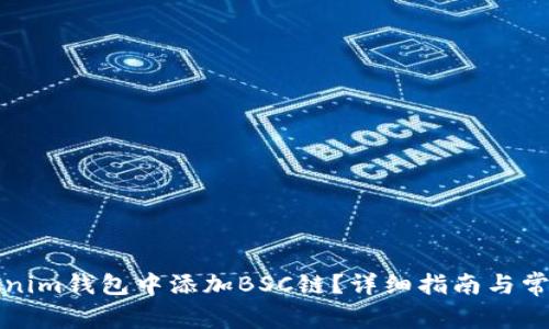 如何在Tokenim钱包中添加BSC链？详细指南与常见问题解答