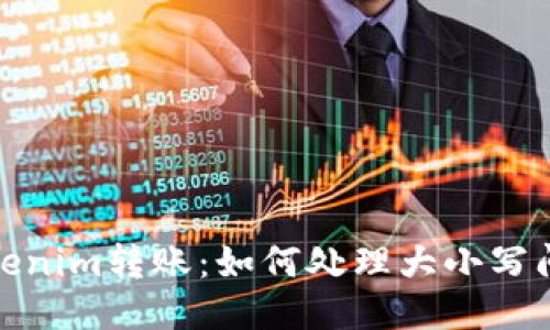 Tokenim转账：如何处理大小写问题