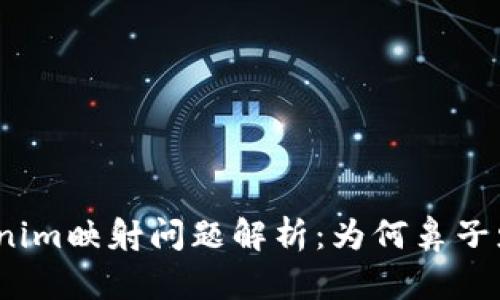 Tokenim映射问题解析：为何鼻子少了？