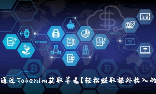 如何通过Tokenim获取羊毛?轻松赚取额外收入的方法