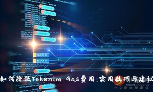 如何降低Tokenim Gas费用：实用技巧与建议