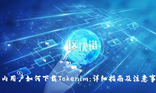 国内用户如何下载Tokenim:详细指南及注意事项