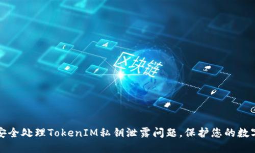 如何安全处理TokenIM私钥泄露问题,保护您的数字资产