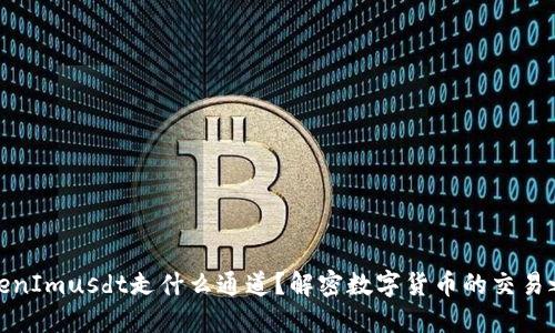 TokenImusdt走什么通道？解密数字货币的交易之路