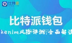 了解Tokenim风险评测：全面