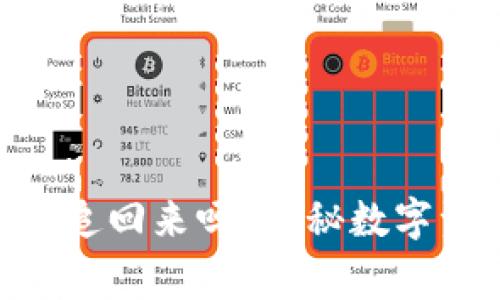 Tokenim被盗报警能追回来吗?揭秘数字资产盗窃的取回方法