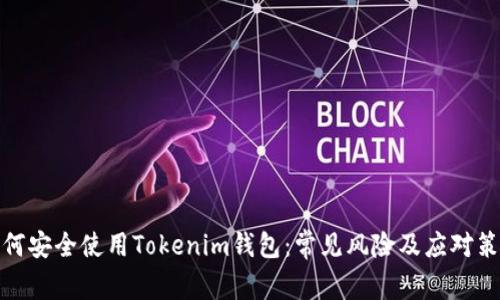 如何安全使用Tokenim钱包:常见风险及应对策略
