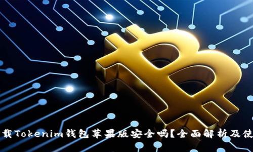 官网下载Tokenim钱包苹果版安全吗？全面解析及使用指南