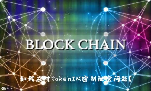 如何应对TokenIM密钥泄密问题?