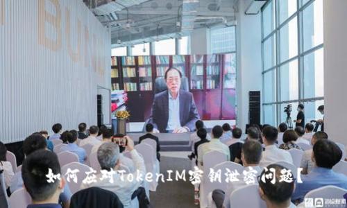 如何应对TokenIM密钥泄密问题?