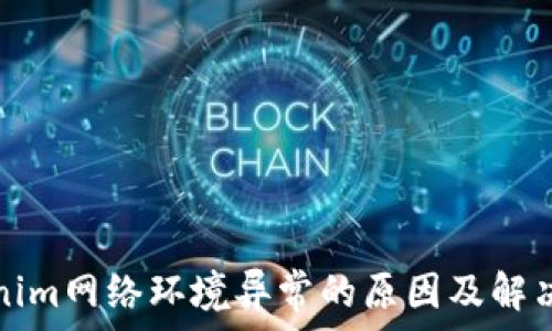 Tokenim网络环境异常的原因及解决方案