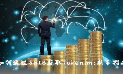 如何通过SHIB获取Tokenim：新手指南