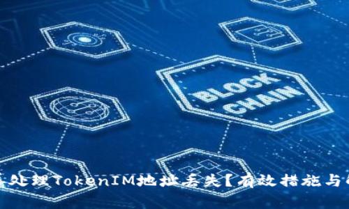 如何妥善处理TokenIM地址丢失?有效措施与解决方案
