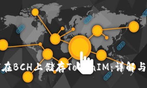 如何在BCH上储存TokenIM：详解与指南