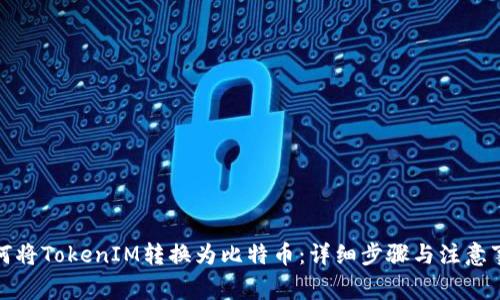 如何将TokenIM转换为比特币：详细步骤与注意事项