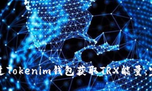 如何通过Tokenim钱包获取TRX能量：完全指南
