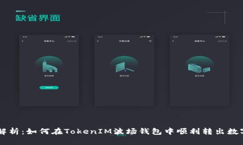 详细解析：如何在TokenIM波场钱包中顺利转出数字货币