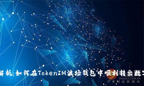 详细解析：如何在TokenIM波场钱包中顺利转出数字货币
