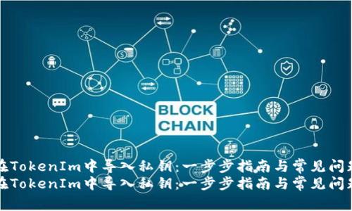如何在TokenIm中导入私钥：一步步指南与常见问题解答
如何在TokenIm中导入私钥：一步步指南与常见问题解答