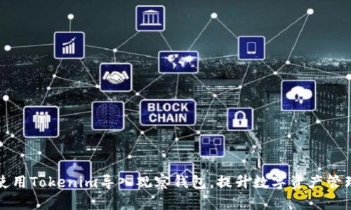 如何使用Tokenim导入观察钱包，提升数字资产管理效率