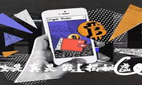 如何判断TokenIM空投是真是假？揭秘虚拟货币空投背后的真相