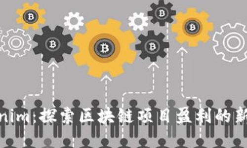 Tokenim:探索区块链项目盈利的新机会