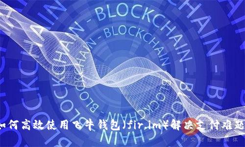 如何高效使用飞牛钱包(fir.im)解决支付难题?