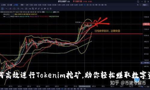 如何高效进行Tokenim挖矿,助你轻松赚取数字资产