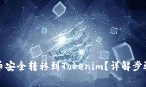 如何将平台币安全转移到Tokenim？详解步骤与注意事项