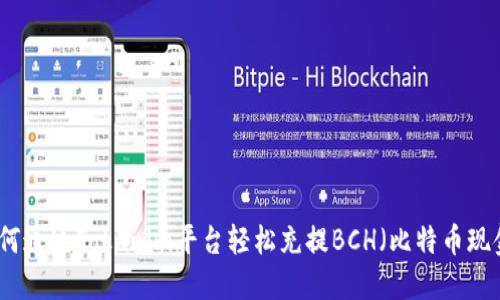 如何通过Tokenim平台轻松充提BCH（比特币现金）