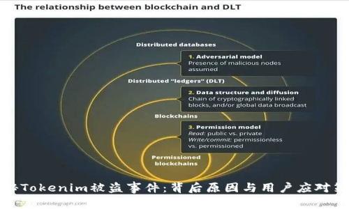 揭秘Tokenim被盗事件:背后原因与用户应对策略