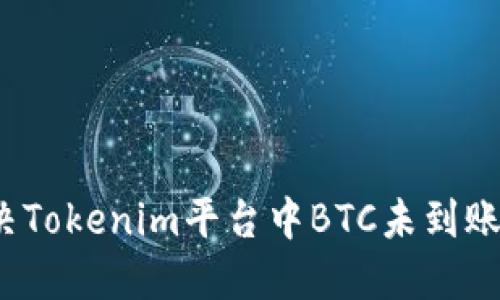 如何解决Tokenim平台中BTC未到账的问题？