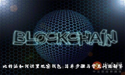比特派如何设置观察钱包:简单步骤与常见问题解答