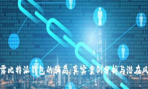 揭露比特派钱包的骗局:真实案例分析与潜在风险