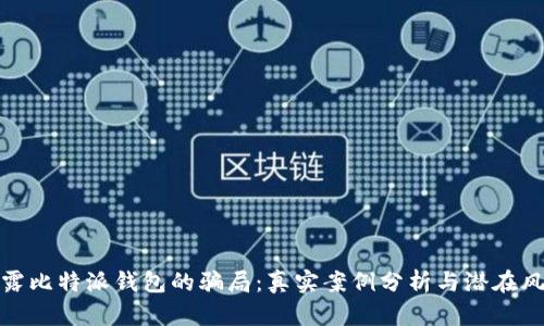 揭露比特派钱包的骗局:真实案例分析与潜在风险