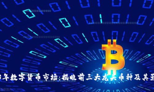 2023年数字货币市场:揭晓前三大龙头币种及其影响力
