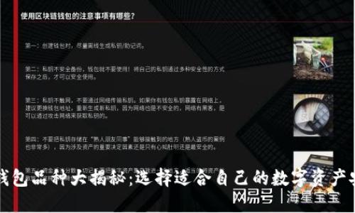 区块链钱包品种大揭秘:选择适合自己的数字资产安全方案