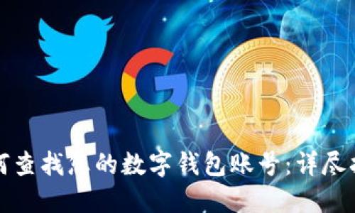 如何查找您的数字钱包账号:详尽指南