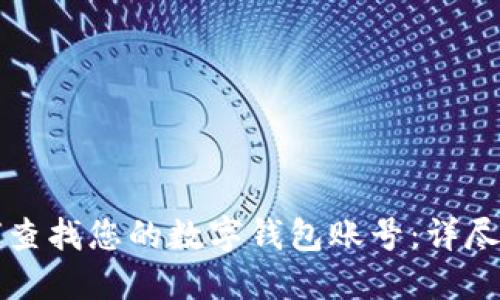 如何查找您的数字钱包账号:详尽指南