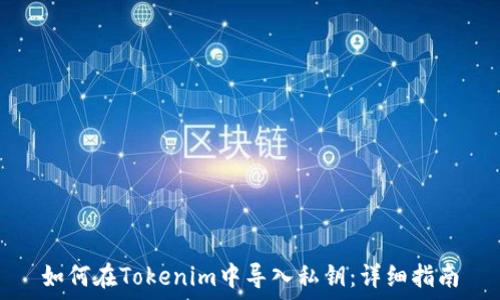   
如何在Tokenim中导入私钥：详细指南