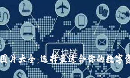 虚拟币钱包图片大全:选择最适合你的数字资产管理方案