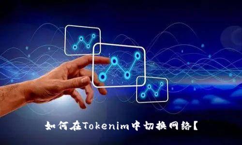 如何在Tokenim中切换网络?