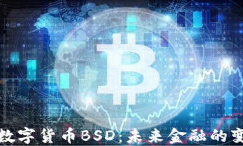 深入探讨数字货币BSD:未来金融的变革与机遇