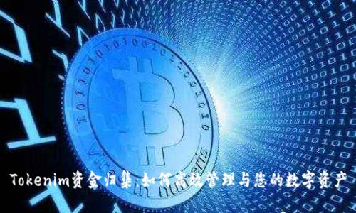 Tokenim资金归集:如何高效管理与您的数字资产