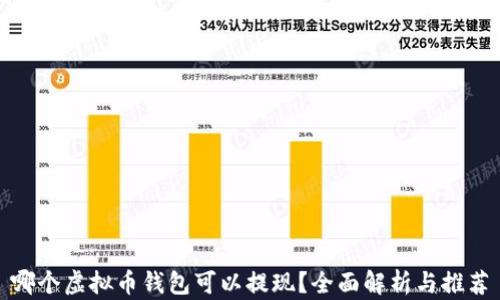 哪个虚拟币钱包可以提现?全面解析与推荐