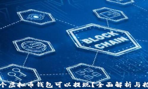 哪个虚拟币钱包可以提现?全面解析与推荐