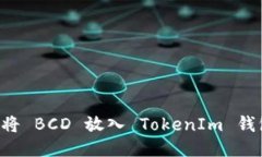 如何安全地将 BCD 放入 T